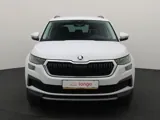 экстерьер