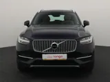 экстерьер