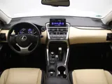Salonas