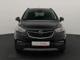 экстерьер